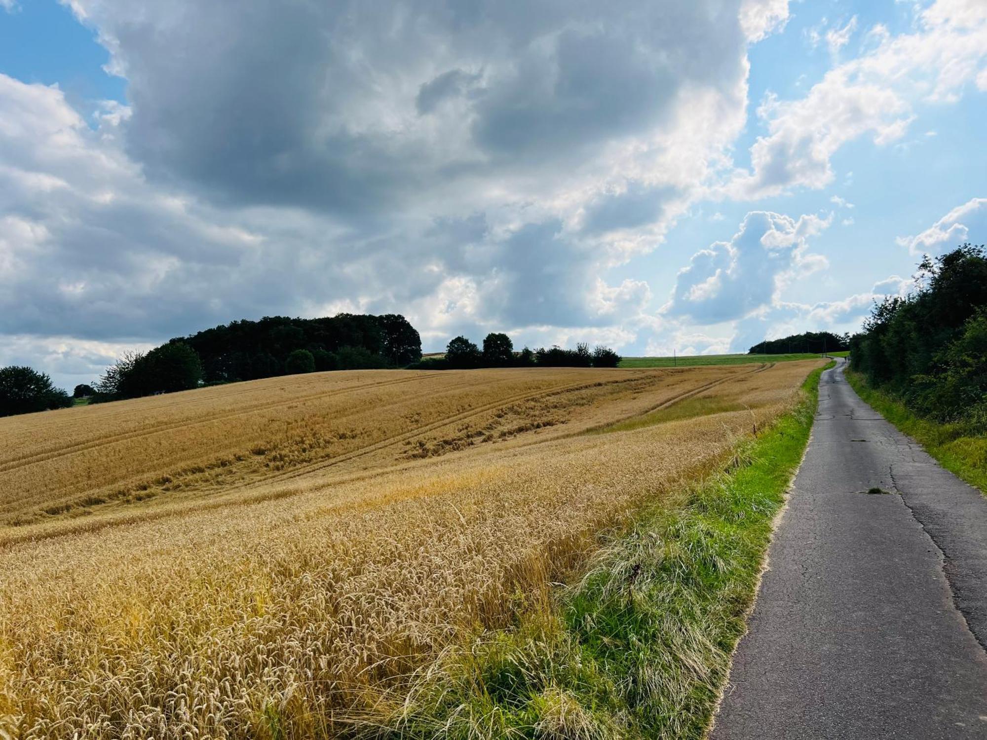 Ferienwohnung In Der Schoenen Eifel! Mechernich Ngoại thất bức ảnh
